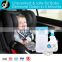 Car Air Freshener Safe for Baby Use