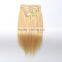  Clip In Hair Extension, Double Drawn Weft Full Ending Clip In Hair Extension