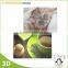 Custom Clear Plastic PP Laminated Placemats