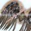 Wholesale Pheasant Chicken Wings For Halloween Decoration