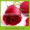 Beautiful lady favorite types of rose cut flower to Russia