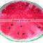 New design watermelon shaped round beach towel made in China