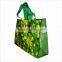 Fashion style custom printed logo printed non woven bag