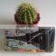 Latest Design Gradient Change Long Women Purse Wallet Card Holder Handbag Gift