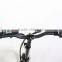20inch 250w Folding Electric Bike