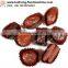 chocolate production equipment