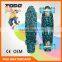 OEM Plastic Fish Shaped Skateboards with LED Wheels