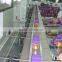 Vegetables and Fruits Modular Conveyor/Belt Conveyor Line