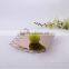 Stainless Steel Fruit Tray Home Decoration Pieces