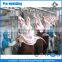 Stainless Abbatoir Device Beef Processing Facility