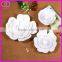 hand craft paper flower wall