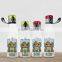 BPA free Promotional plastic drinking sport water bottle