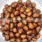 sweet top quality frozen ringent chestnuts with shell