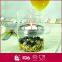 Bulk wholesale cheap glass tube candle holder