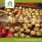 cheap bulk fresh onion from china