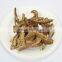 mushroom distributors porcini