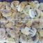 wholesale whole paddy champignons agaricus bisporus in pouches mushrooms