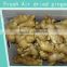 2016 China fresh ginger for sale