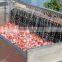 carrot washing machine /industrial sweet potato washing machine