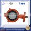 DIN DN20 PN21 butterfly valve