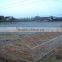 Lower Cost Tunnel Plastic Sheet Greenhouse