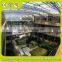 Hydroponic Greenhouse Systems/Selling Used Greenhouse For Agriculture And Horticulture