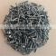 electro galvanized common naill with best quality