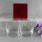 Transparent Glass Vase , Square Glass Flower Vase