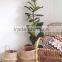 Seagrass natural belly basket made in Vietnam