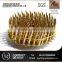 Plastic coiled nails