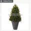 Topiary figure ornaments milan leaves landscape grass ball