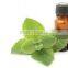 SPEARMINT Oil