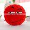 Hot Sale Custom Whatsapp Smile Pillow Emoji