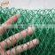 Green anti mole netting protect the grapes from birds