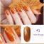 3D Cat Eye Soak Off Nail Gel Polish UV Gel Пумпкин Серия Здоровый Манikyur