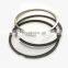 Engine Spare Parts 6BT Engine Piston Ring 3802230