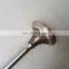 Cummins ISX15 QSX15 Engine Exhaust Valve 4101454 4059327 3680759