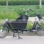 2 wheels Easy Handle Electric Cargo Bike for Adult