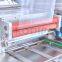 Fish continuous belt type vacuum skin packing machine