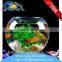 Low price desktop fish tank with low price