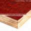 factory quality film faced plywood