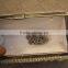 new crystal evening party purse jeweled clutch