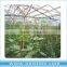 Indoor greenhouse film for plant grow