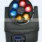 6pcs 12W RGBW 4in1 led zoom bee eye moving head light