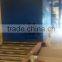 engineer install Q69 series Roller Conveyor type Monorail Shot Blasting Machine