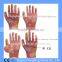 Polyester Printing Transparent Nitrile Coated Gardening Gloves Quality Choice