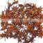 Chinese Dried Star Aniseed