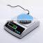0.001G Electronic Density Antique Balance Scale