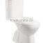 YLF1002 standard size for Africa washdown two-piece toilet
