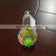 Plastic Succulent Plants Geometric Glass Terrarium Wholesale Container